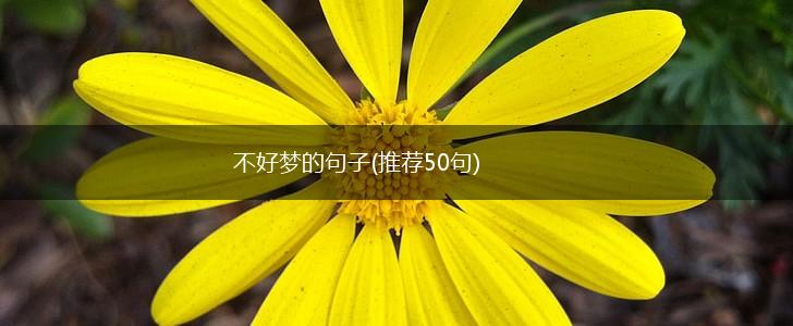 不好梦的句子(推荐50句),第1张