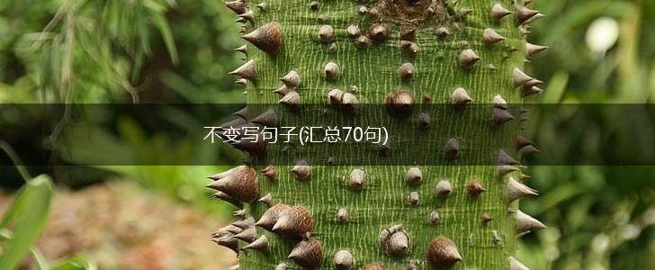 不变写句子(汇总70句),第1张