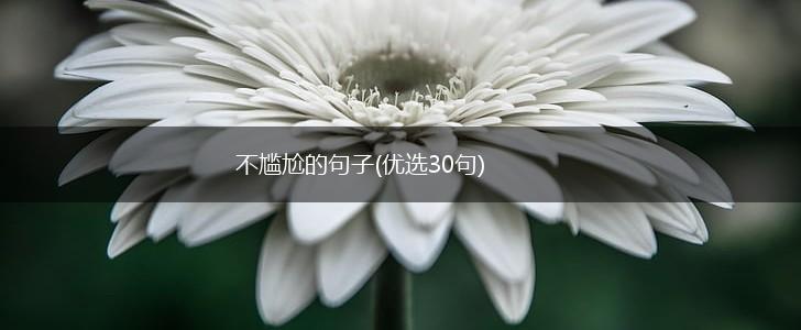 不尴尬的句子(优选30句),第1张