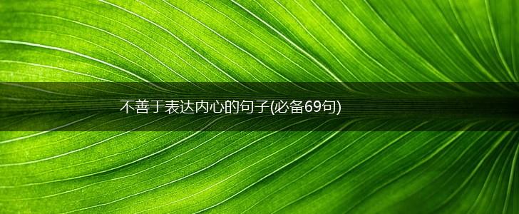 不善于表达内心的句子(必备69句),第1张