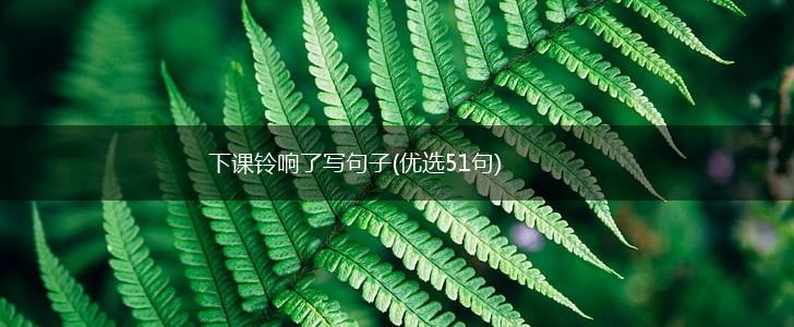 下课铃响了写句子(优选51句),第1张