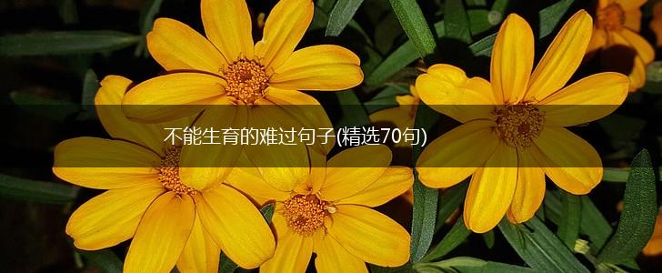 不能生育的难过句子(精选70句),第1张