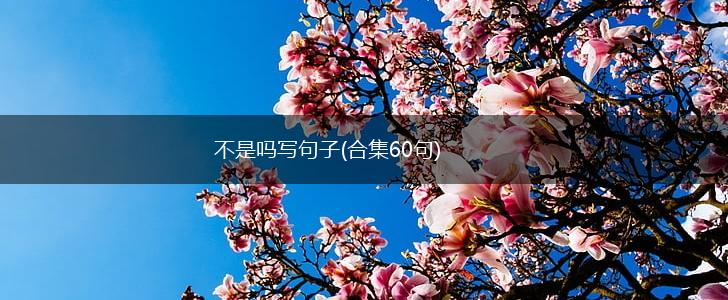不是吗写句子(合集60句),第1张