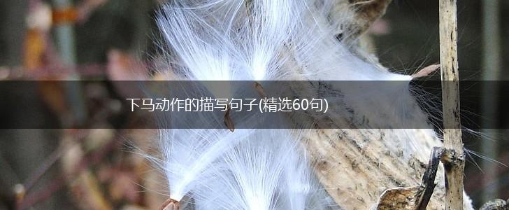 下马动作的描写句子(精选60句),第1张