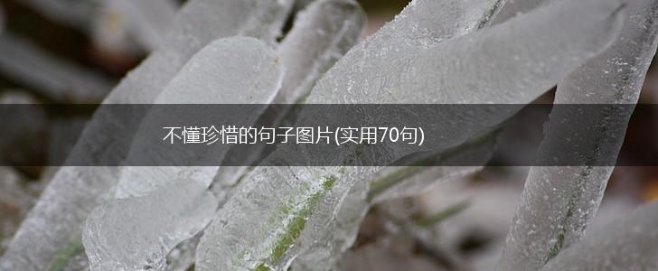 不懂珍惜的句子图片(实用70句),第1张