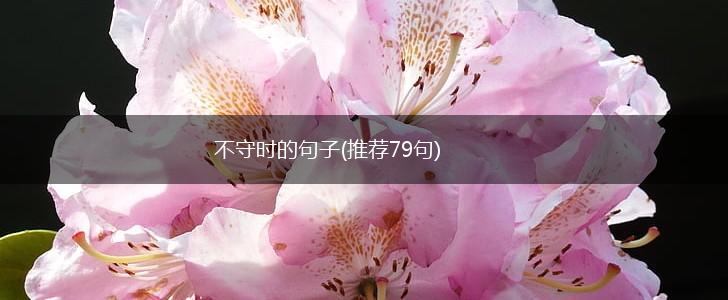不守时的句子(推荐79句),第1张