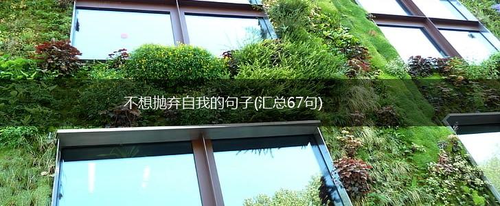 不想抛弃自我的句子(汇总67句),第1张