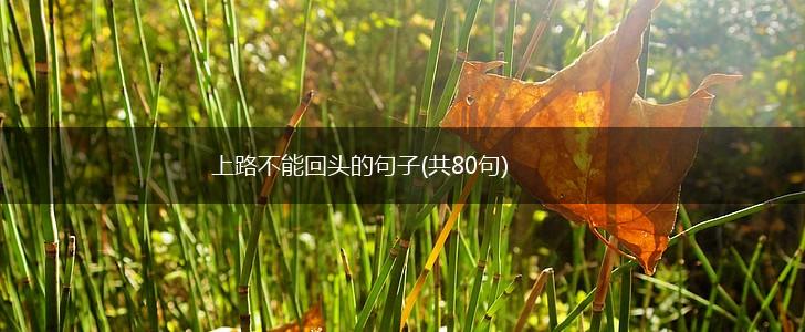 上路不能回头的句子(共80句),第1张