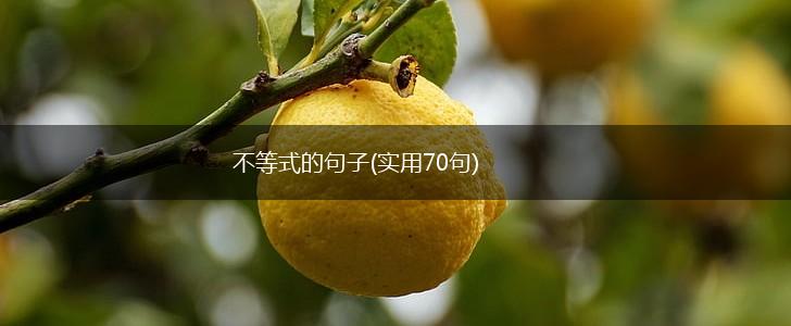 不等式的句子(实用70句),第1张