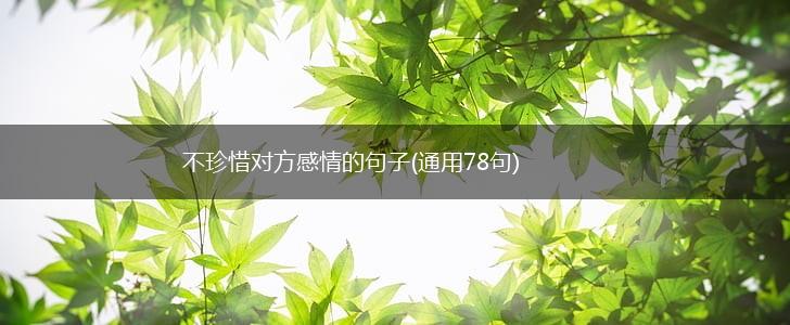 不珍惜对方感情的句子(通用78句),第1张
