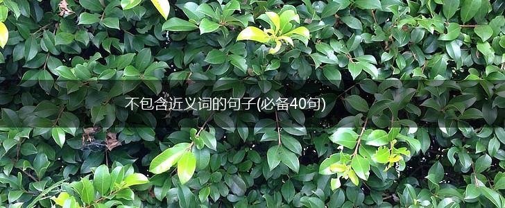 不包含近义词的句子(必备40句),第1张