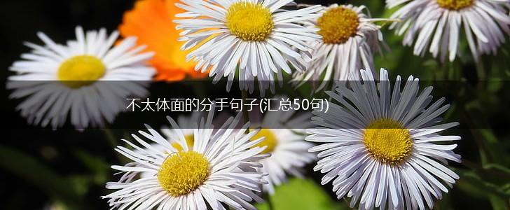 不太体面的分手句子(汇总50句),第1张