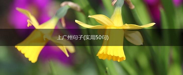 上广州句子(实用50句),第1张