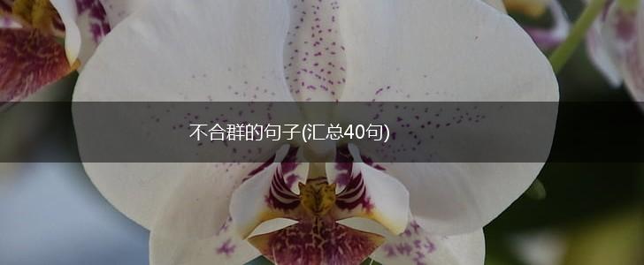 不合群的句子(汇总40句),第1张