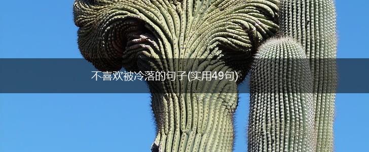 不喜欢被冷落的句子(实用49句),第1张