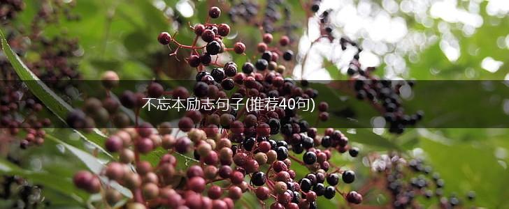 不忘本励志句子(推荐40句),第1张