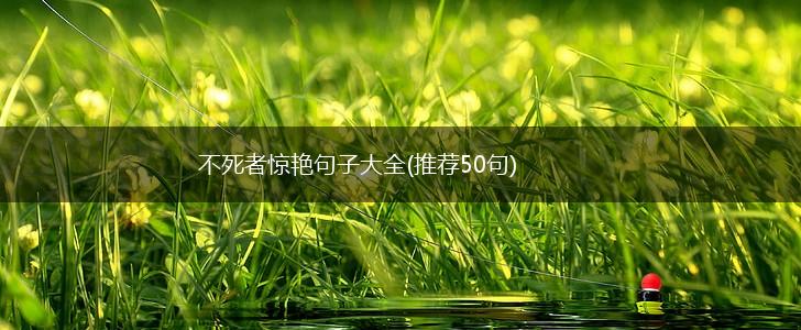 不死者惊艳句子大全(推荐50句),第1张