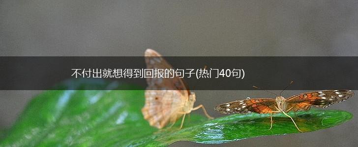 不付出就想得到回报的句子(热门40句),第1张