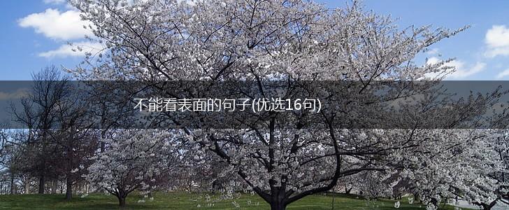 不能看表面的句子(优选16句),第1张