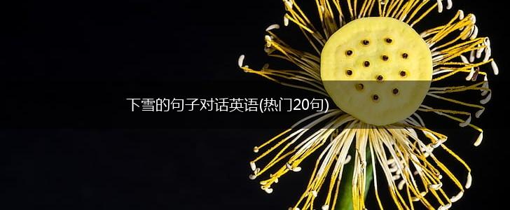 下雪的句子对话英语(热门20句),第1张