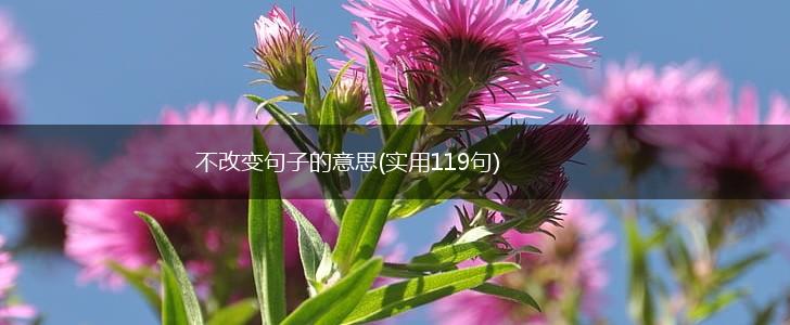 不改变句子的意思(实用119句),第1张