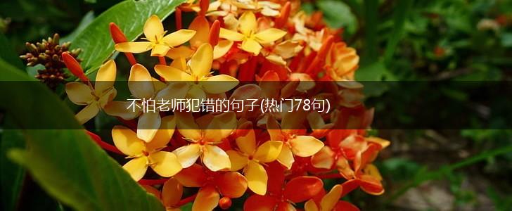 不怕老师犯错的句子(热门78句),第1张