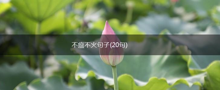 不瘟不火句子(20句),第1张