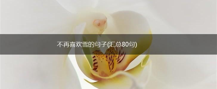 不再喜欢雪的句子(汇总80句),第1张