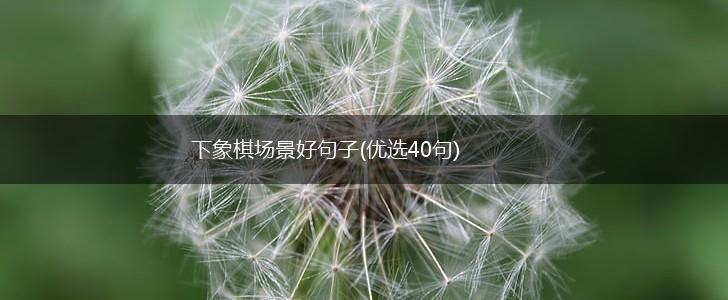 下象棋场景好句子(优选40句),第1张