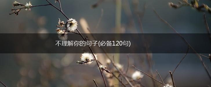 不理解你的句子(必备120句),第1张