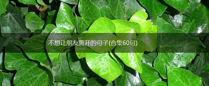 不想让朋友离开的句子(合集60句),第1张