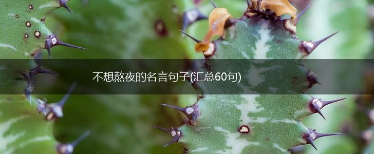 不想熬夜的名言句子(汇总60句),第1张