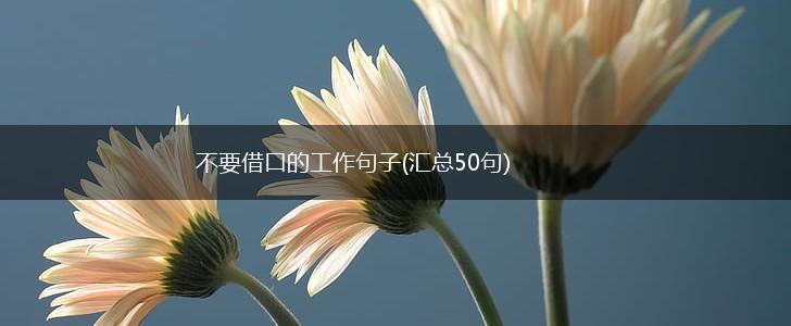 不要借口的工作句子(汇总50句),第1张