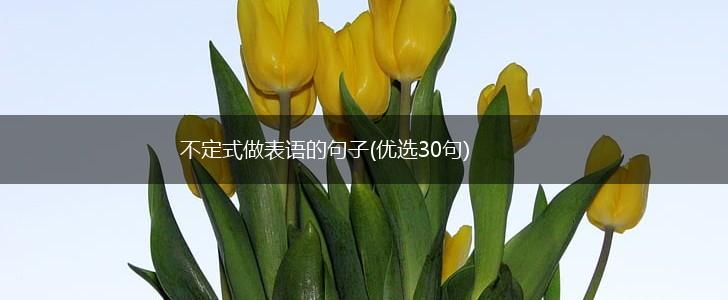 不定式做表语的句子(优选30句),第1张