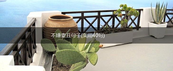不嫌妻丑句子(实用40句),第1张