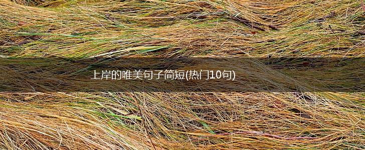 上岸的唯美句子简短(热门10句),第1张