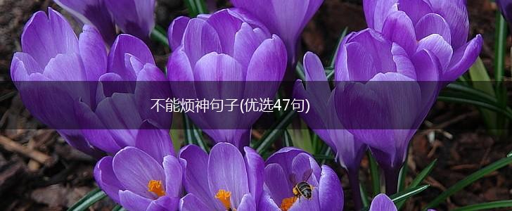 不能烦神句子(优选47句),第1张