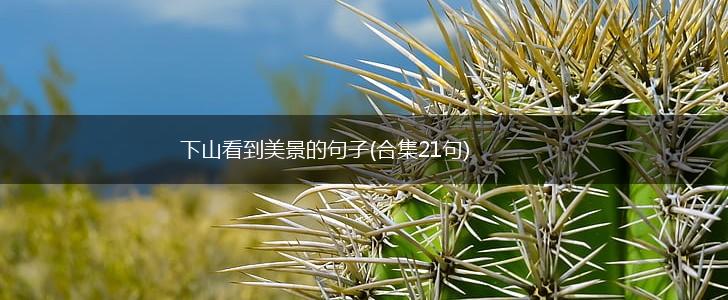 下山看到美景的句子(合集21句),第1张