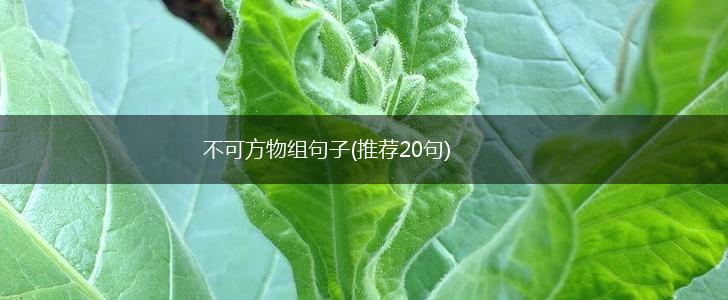 不可方物组句子(推荐20句),第1张