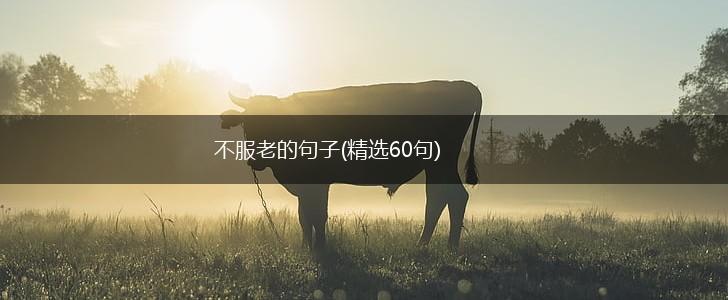 不服老的句子(精选60句),第1张