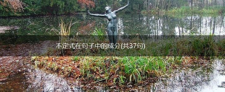 不定式在句子中的成分(共37句),第1张