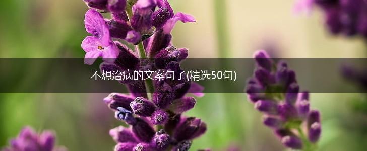 不想治病的文案句子(精选50句),第1张