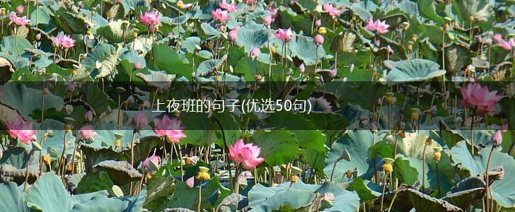 上夜班的句子(优选50句),第1张