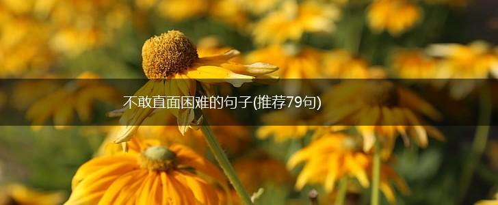 不敢直面困难的句子(推荐79句),第1张