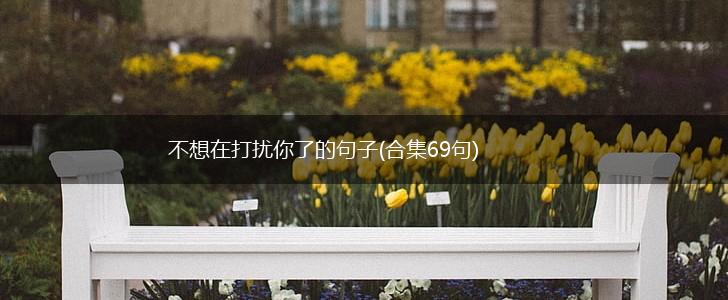 不想在打扰你了的句子(合集69句),第1张