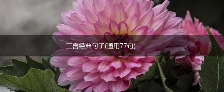 三言经典句子(通用77句),第1张