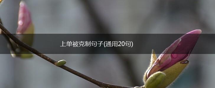 上单被克制句子(通用20句),第1张