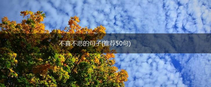 不喜不悲的句子(推荐50句),第1张