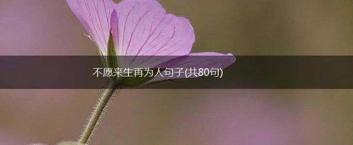 不愿来生再为人句子(共80句),第1张