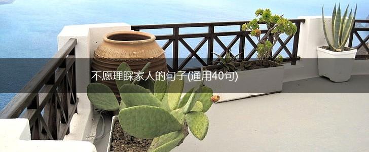 不愿理睬家人的句子(通用40句),第1张